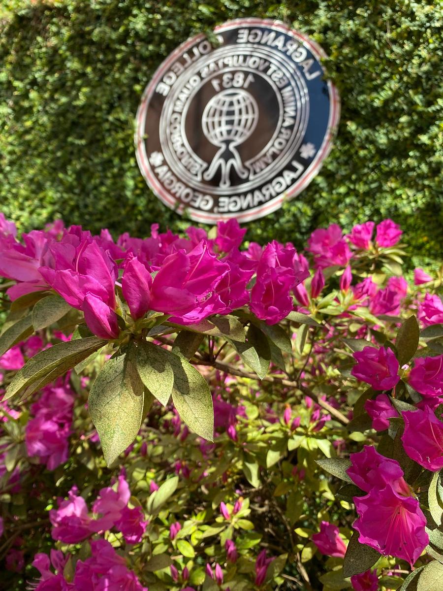 the college seal agains a backdrop of green ivy